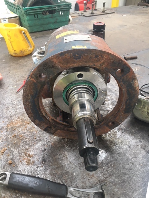 Engineers examining mechanical seals - Retrofitting Salvatore Robuschi Pumps with Cartridge Seals, A Reliable Upgrade from Single Spring Seals